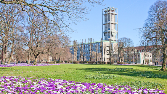 aarhus raadhus sommer